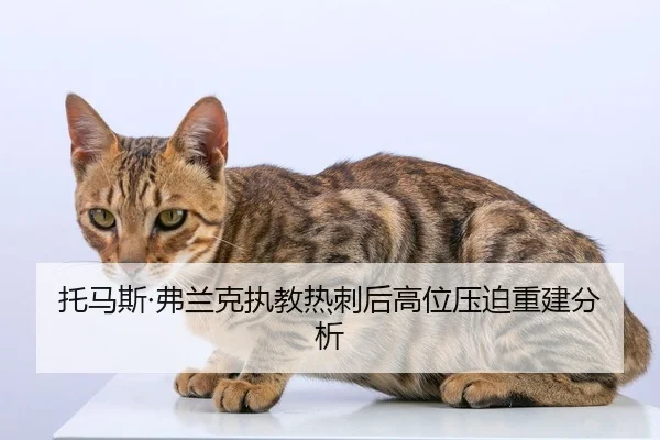 托马斯·弗兰克执教热刺后高位压迫重建分析